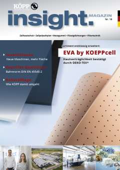 INSIGHT Nr. 18