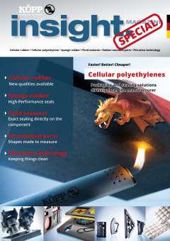 INSIGHT Special 2019