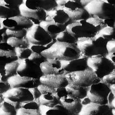 Gomma spugna Gomma spugna