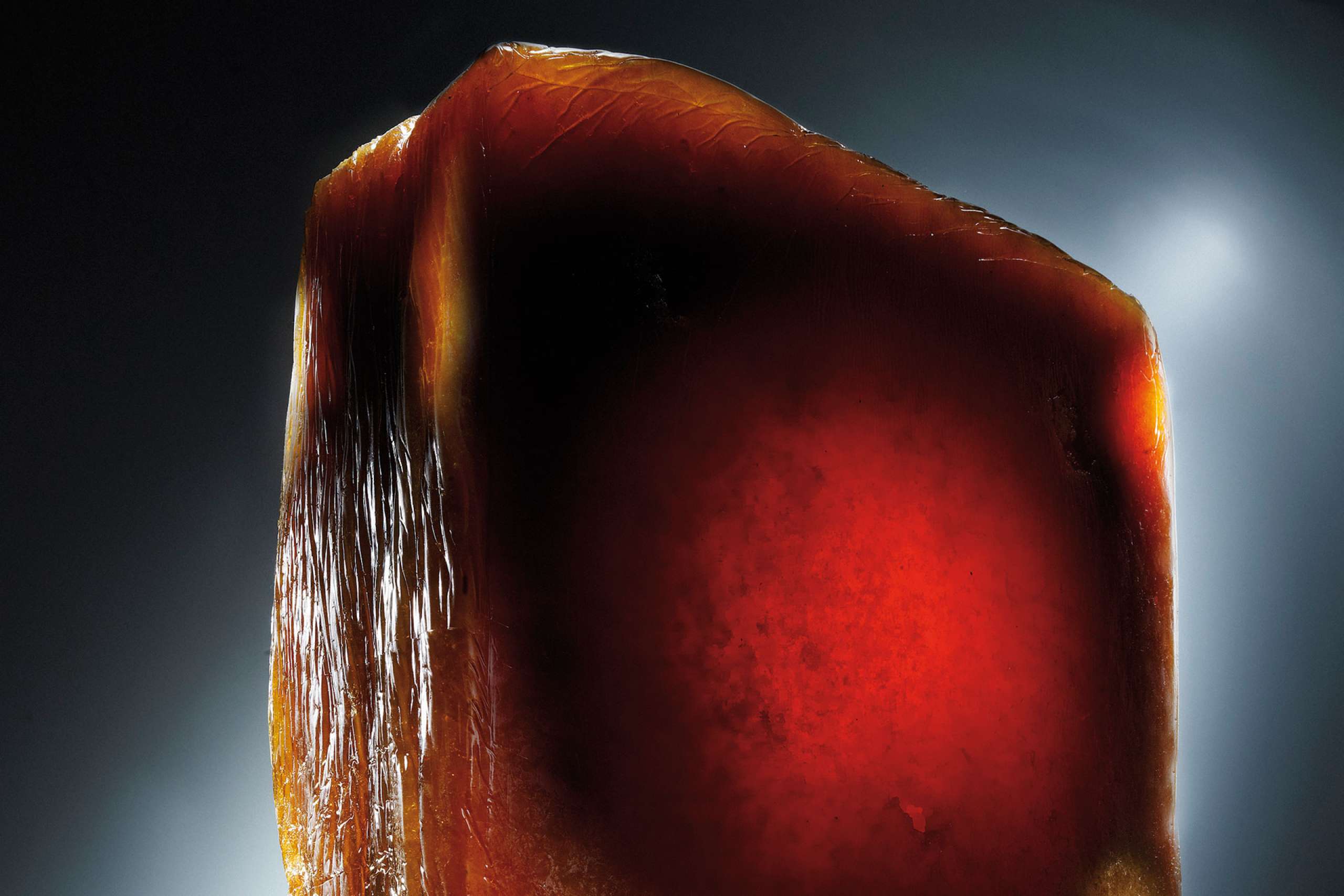 Zellkautschuk W. KÖPP GmbH & Co. KG